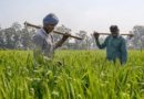 मोदी सरकार जल्द देगी किसानों को तोहफा, इस योजना की राशि में किसानों को मिलेंगे 8 हजार रुपये